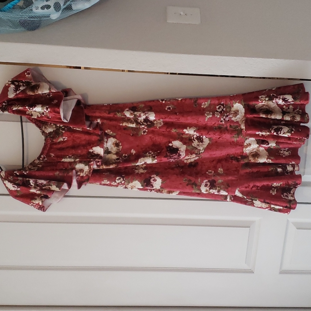 Lularoe Floral Velvet Cici dress